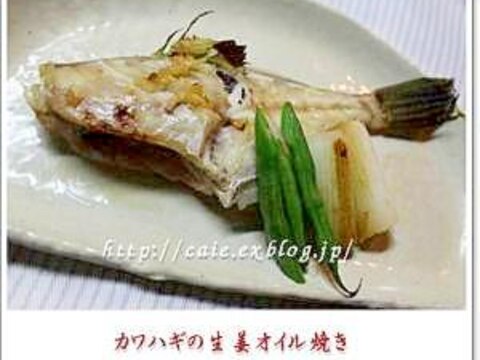 煮魚嫌いさんに♪カワハギの生姜オイル焼き